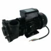 Jacuzzi® Lodge™ 2 Speed Hot Tub Pump - 930108653